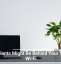 Houseplants Might Be Behind Your Sluggish Wi-Fi